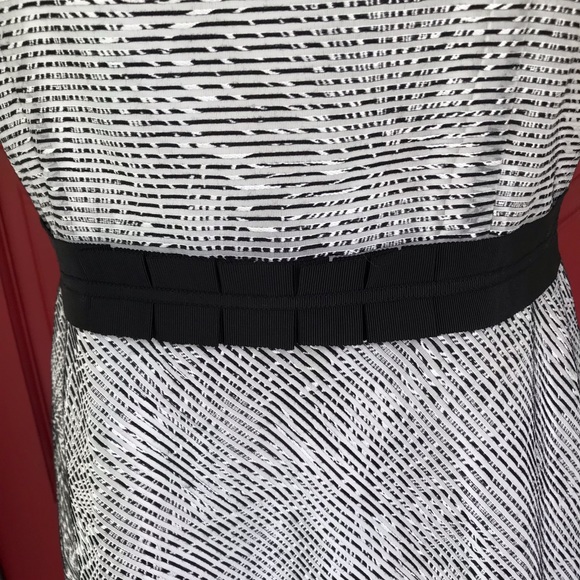 Antonio Melani Sleeveless Black White Lined Grosgrain Waist Shift Dress Size 8 - Picture 8 of 13